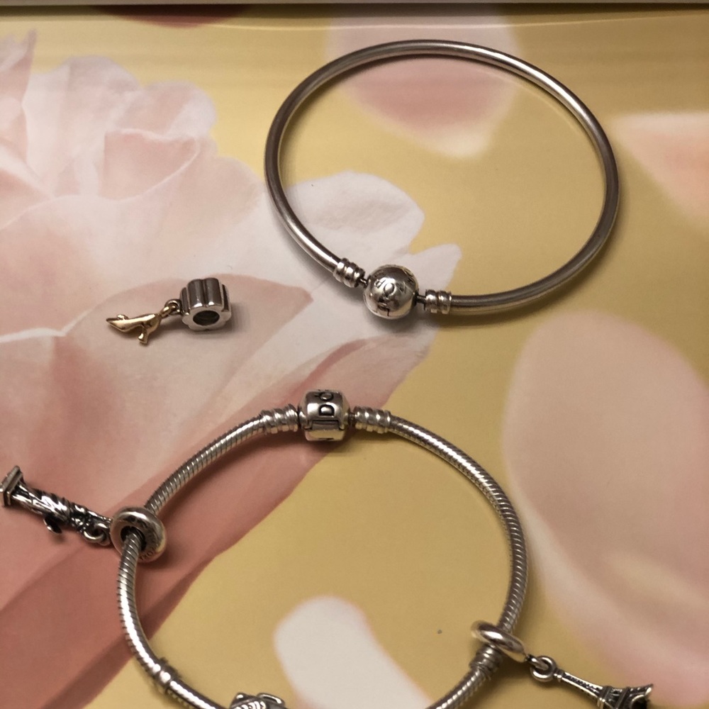 Pandora Bracelet / Charm Bundle - image 7